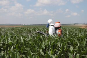 Un agricoltore usa pesticidi nel suo campo