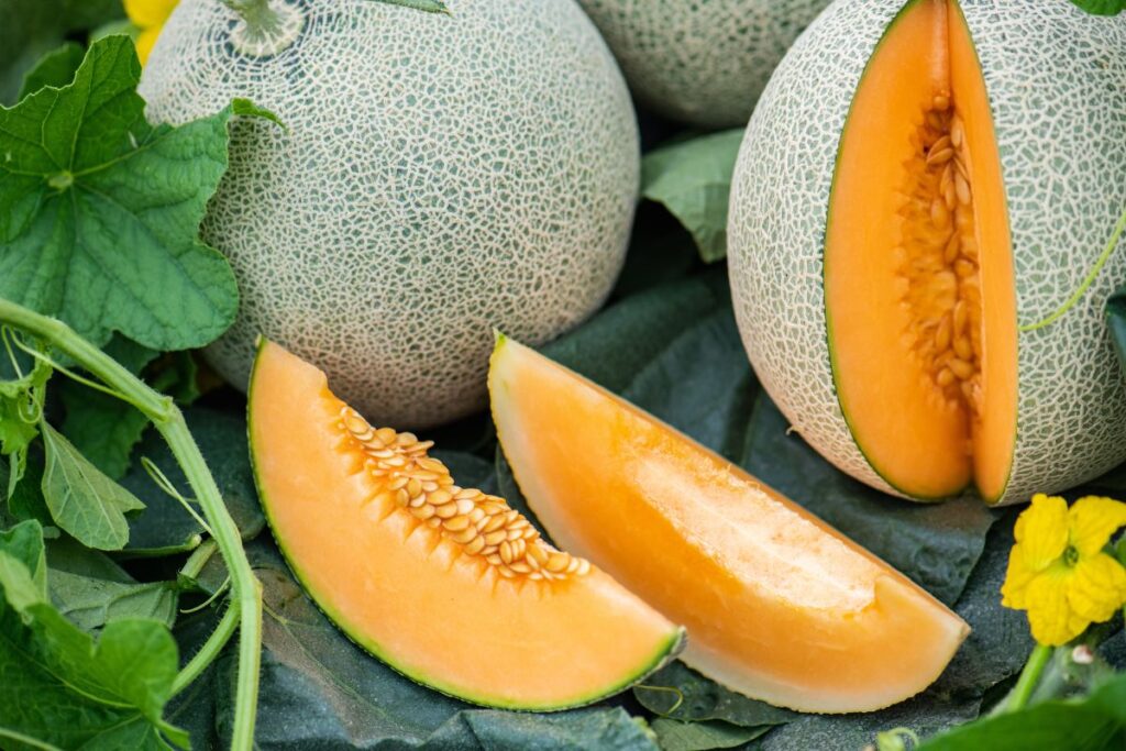 Porzioni di melone