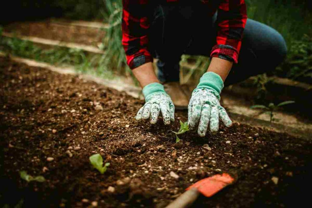 il segreto dei giardinieri per fiori e piante primavera estate