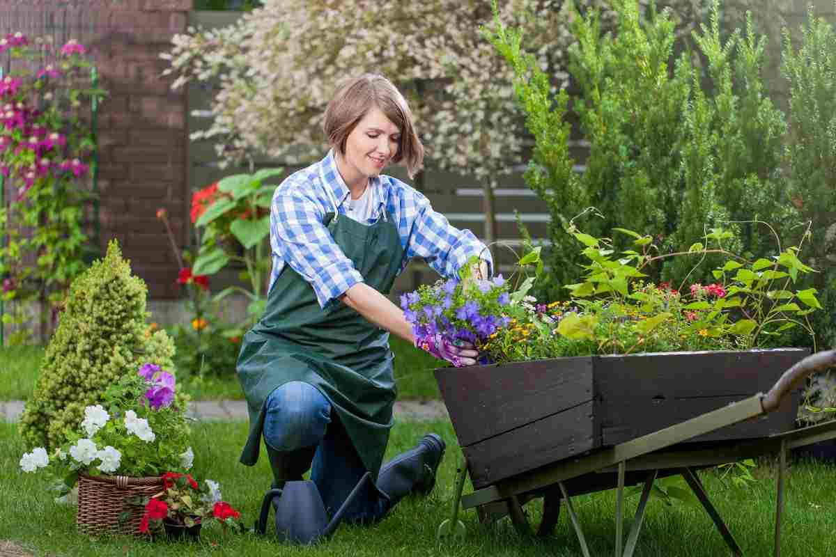 il segreto dei giardinieri per fiori e piante primavera estate