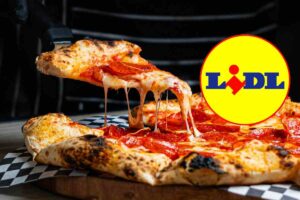 forno elettrico pizza ariete lidl