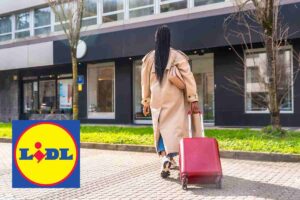 lidl trolley offerta speciale