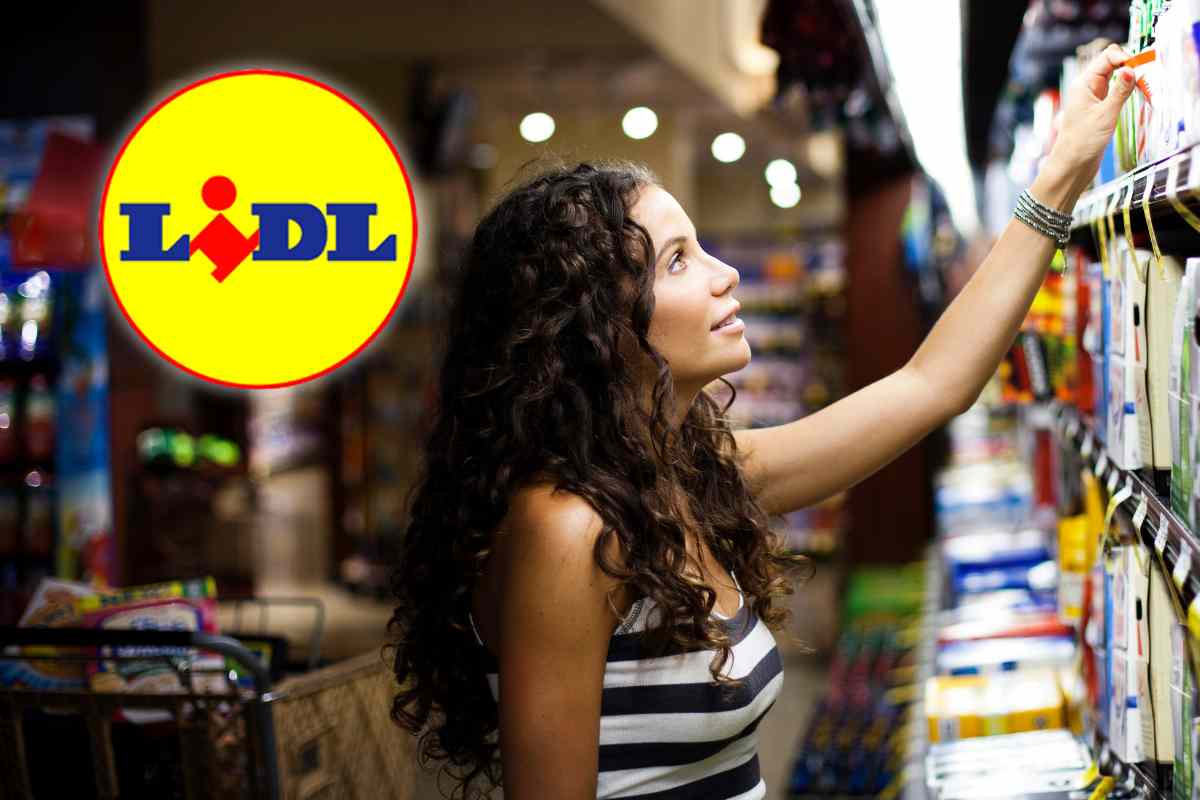 lidl novità offerte 2026